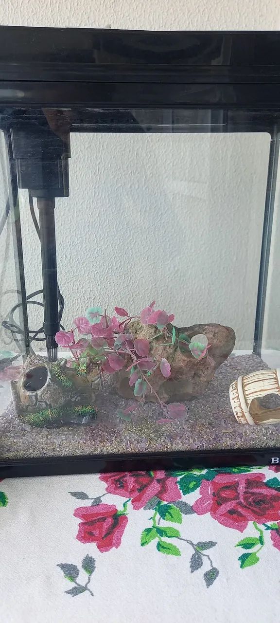 Aquário Boyu 36 litros MR 418 - Foto 4