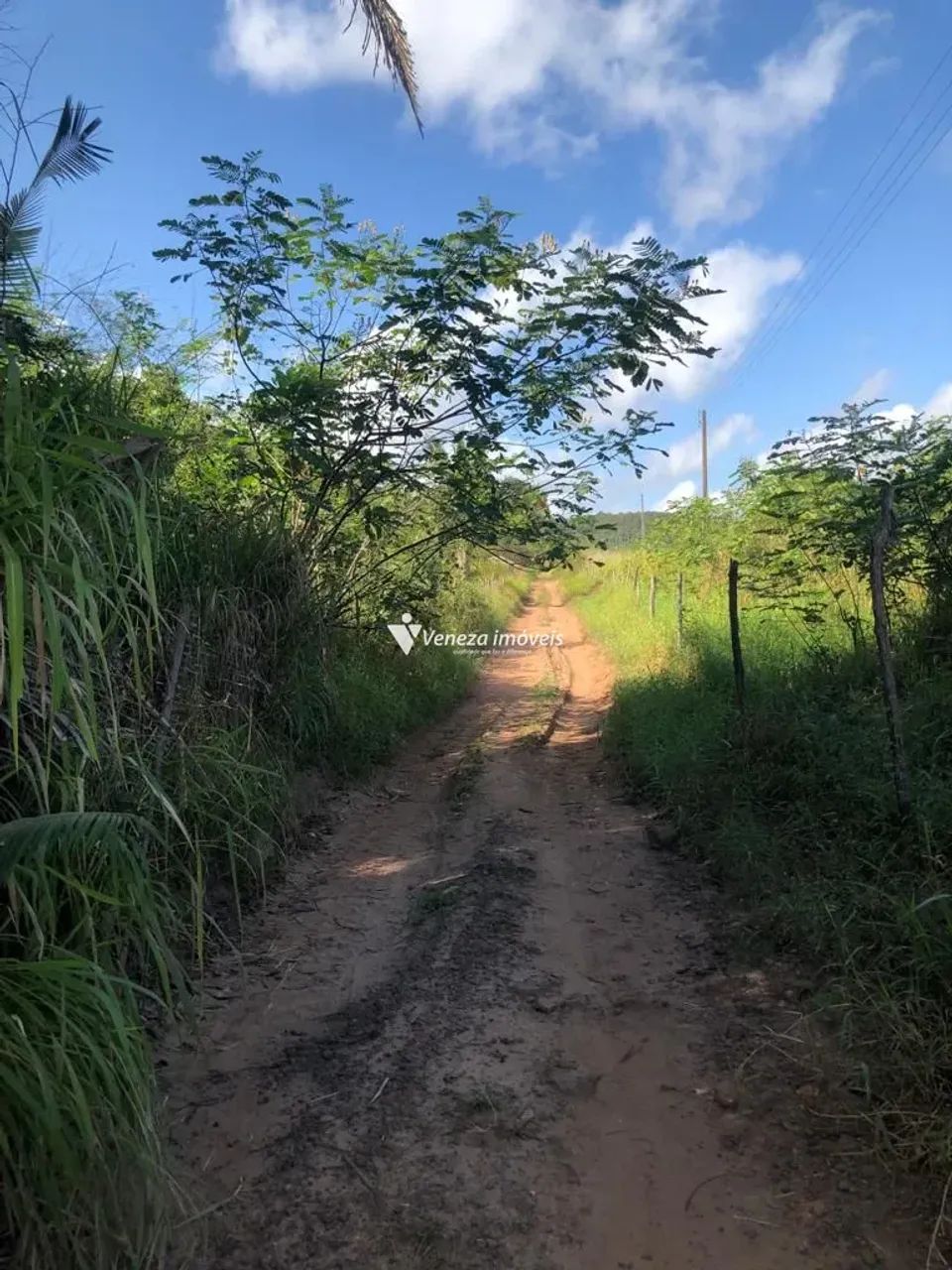 Sitio no povoado cacimba velha a venda - Foto 5