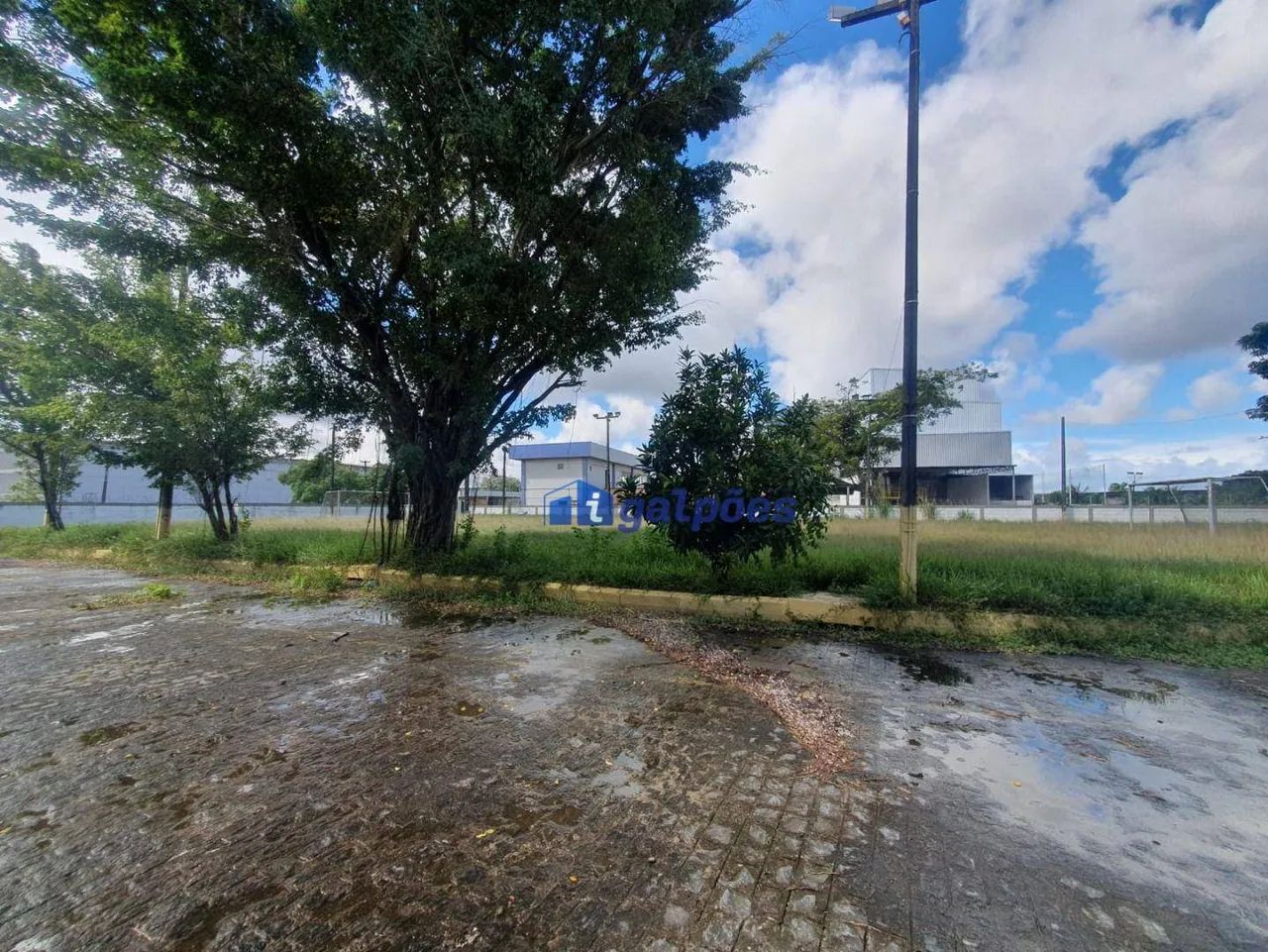Galpão com 3.200 m² mais área livre dentro do PARQTEL em Recife - PE - Foto 7