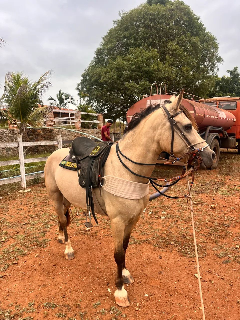 PIQUIRA A VENDA  - Foto 4