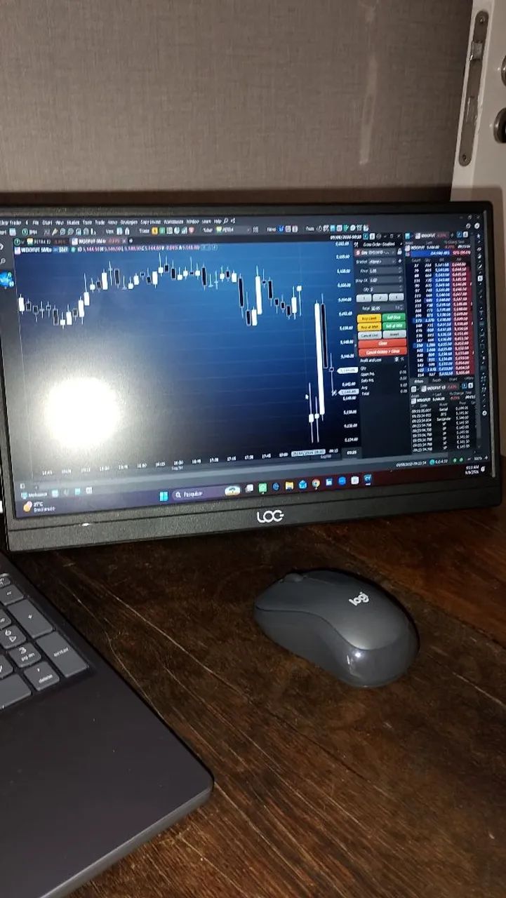 Monitor Portátil 