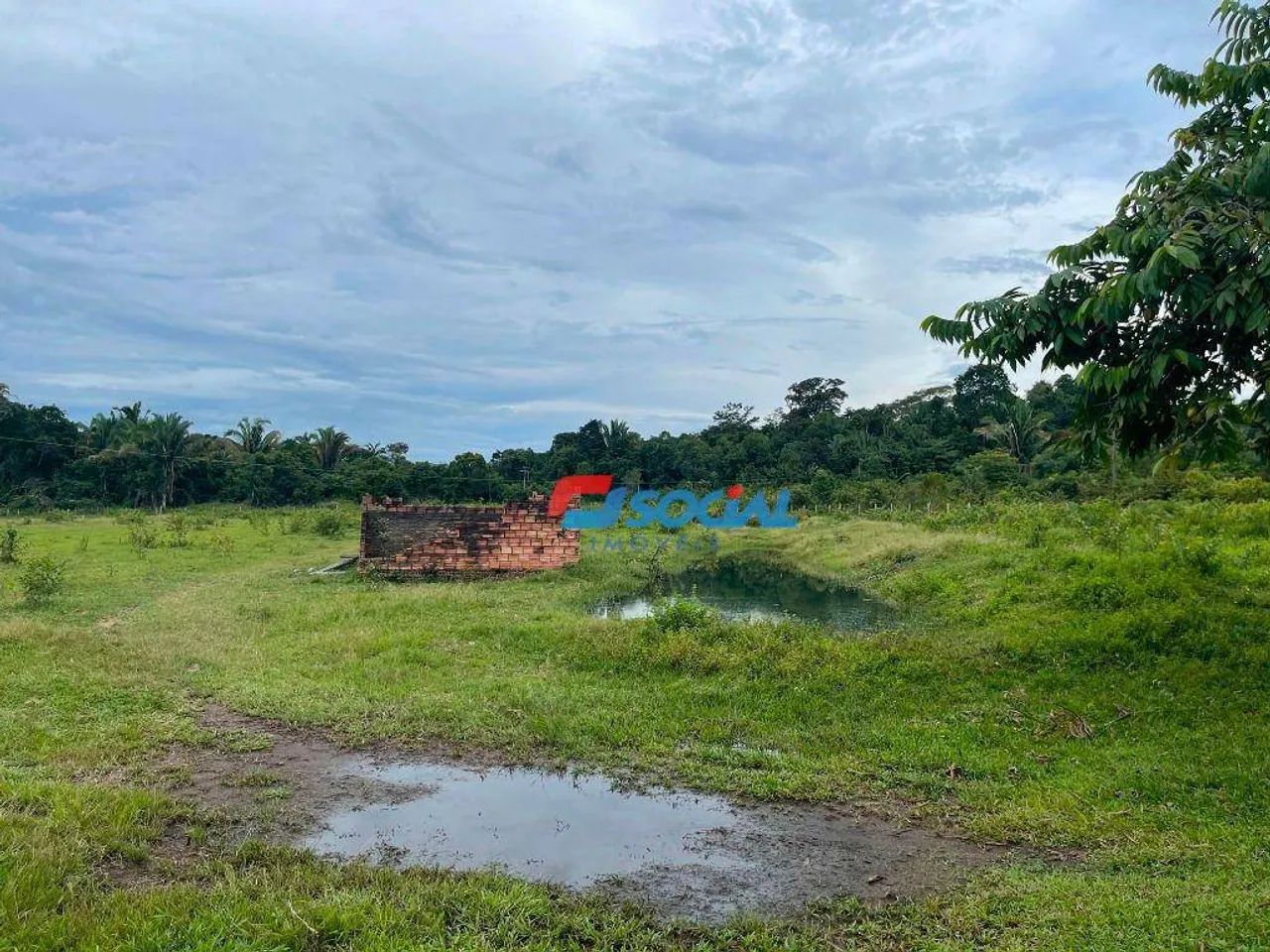 Sítio Escriturado à venda, 46,044199ha por R$ 1.250.000 - Gleba - Porto Velho/RO - Foto 3