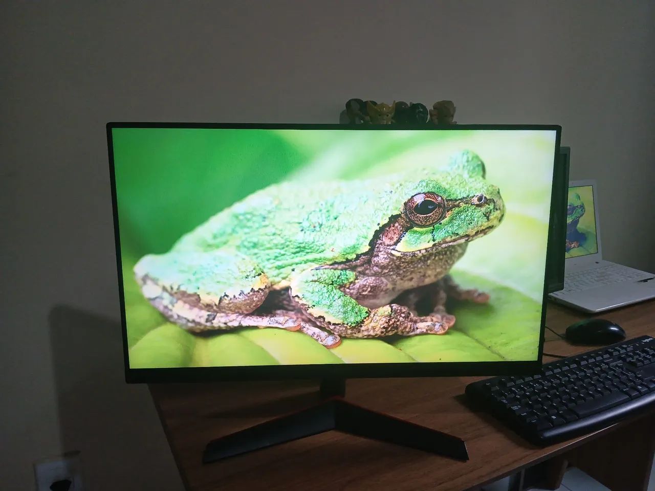 Monitor lg  24p 144hz