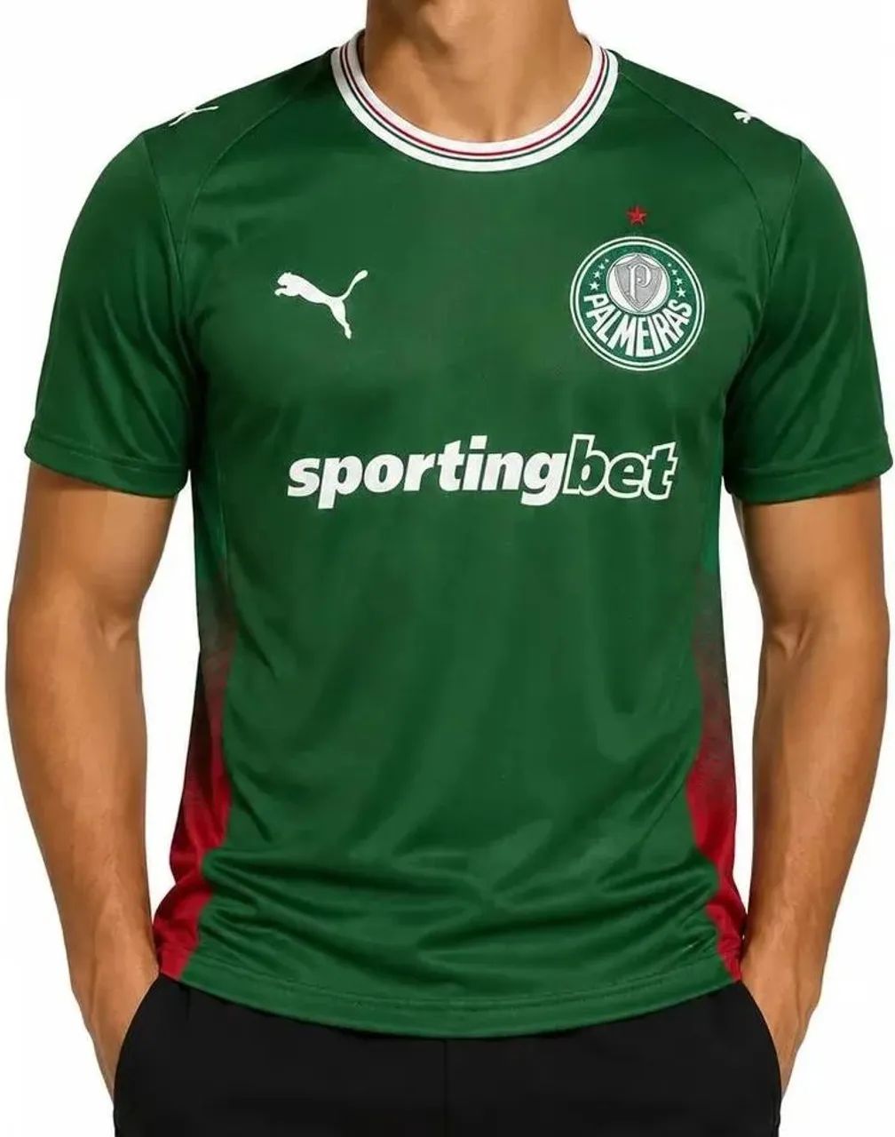 Camisa do Palmeiras 2026