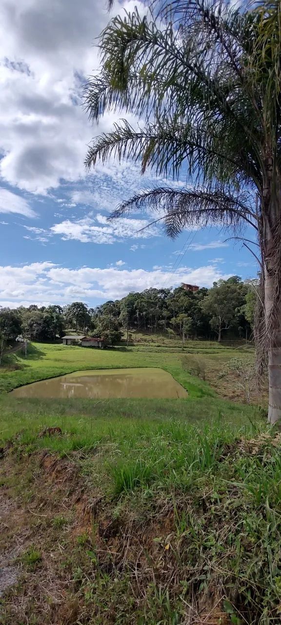 Terreno em Rancho Queimado com aproximadamente 2,5 hectares - Foto 4