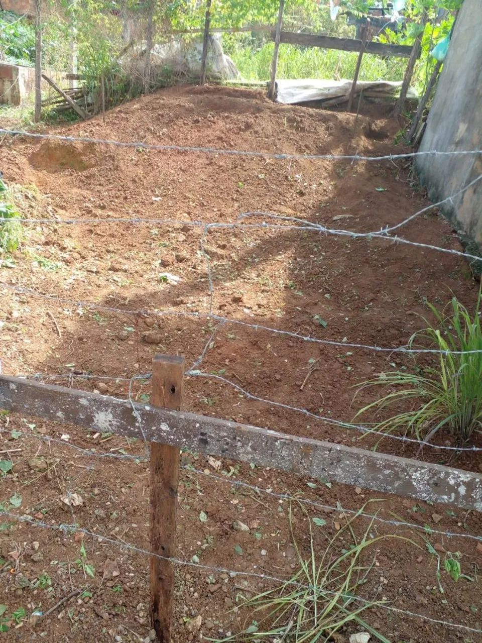 Terreno  - Foto 2