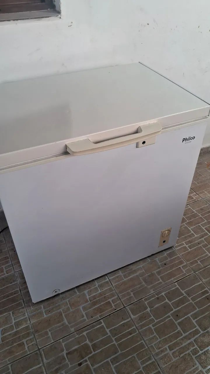 Frezer Philco 199l