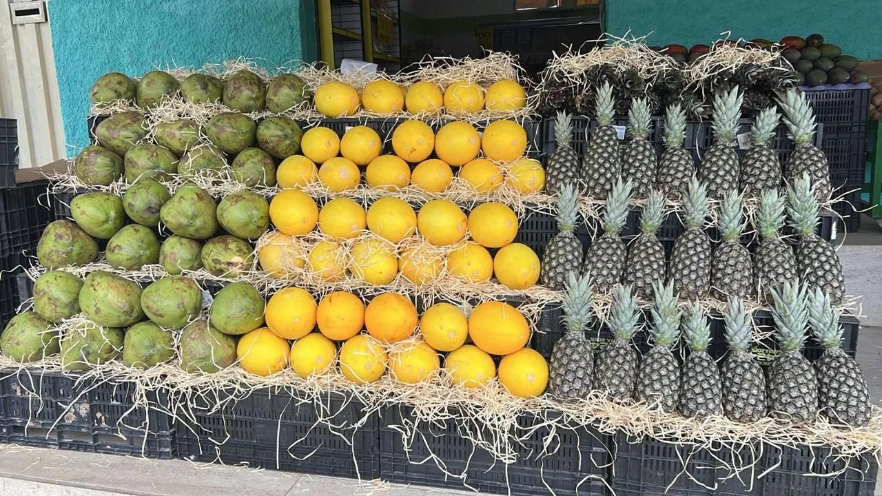 Vendo sacolão e mercearia  - Foto 3
