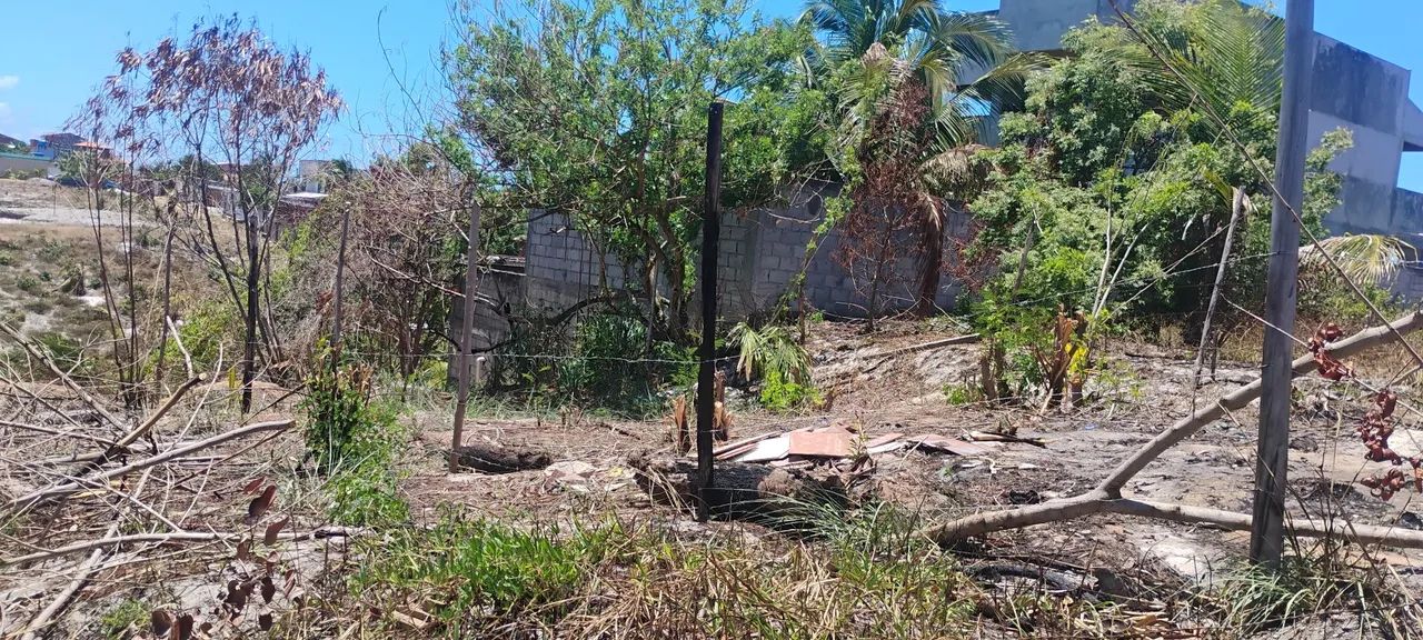 Terreno arembepe - Foto 2
