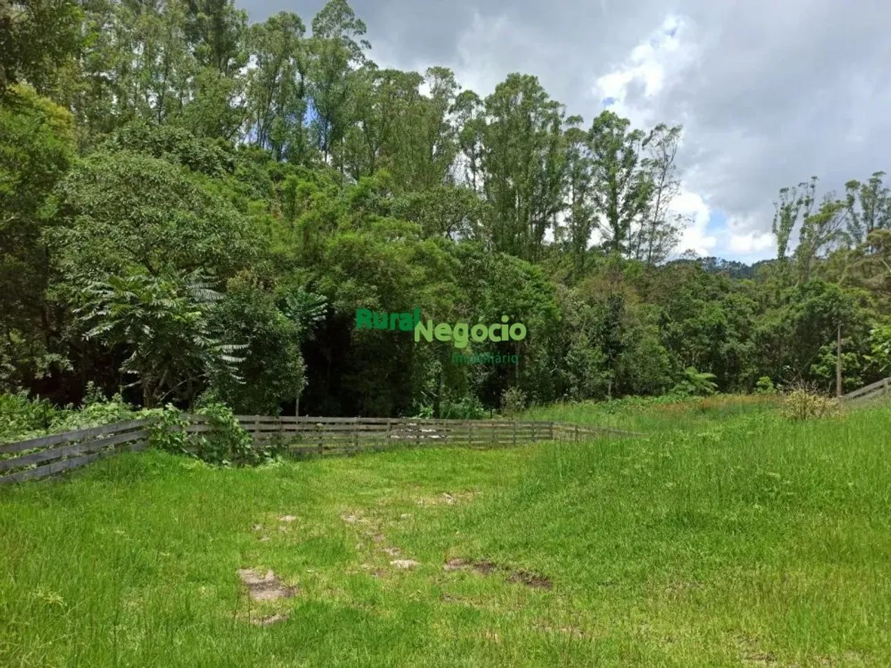 SÍTIO FORMADO PRÓXIMO AO PARQUE DA SERRA DO MAR EM CUNHA-SP - Foto 2