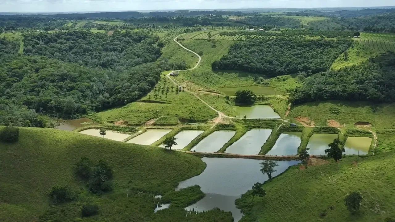 Imóvel para venda com 30250 metros quadrados com 4 quartos - Foto 5