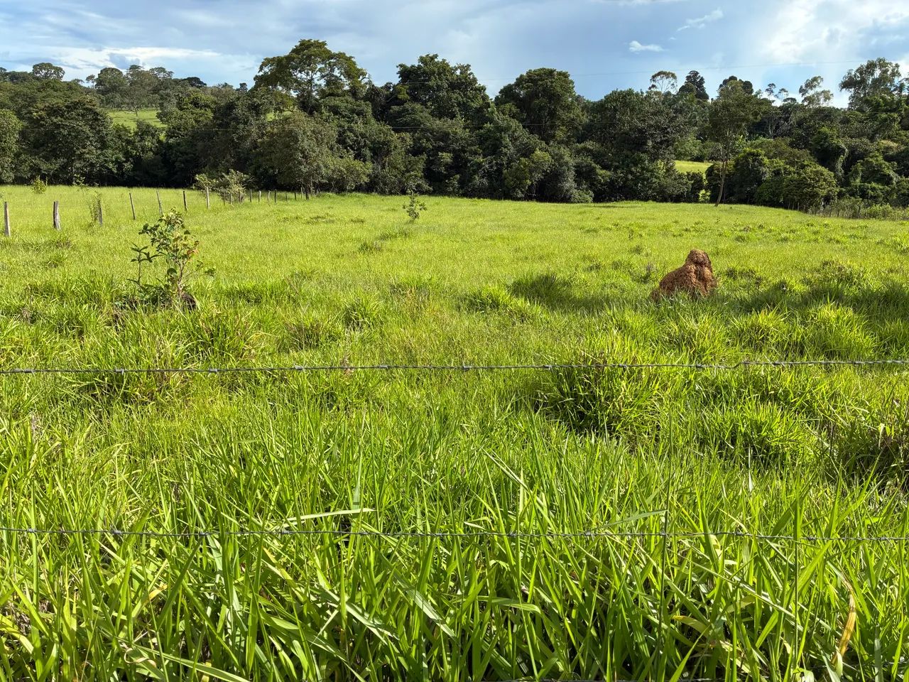 Foto - Brasília - Setor Habitacional Arniqueira (Águas Claras)