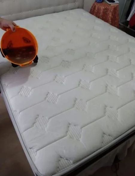 Limpeza e Higienização de Estofados  - Foto 6