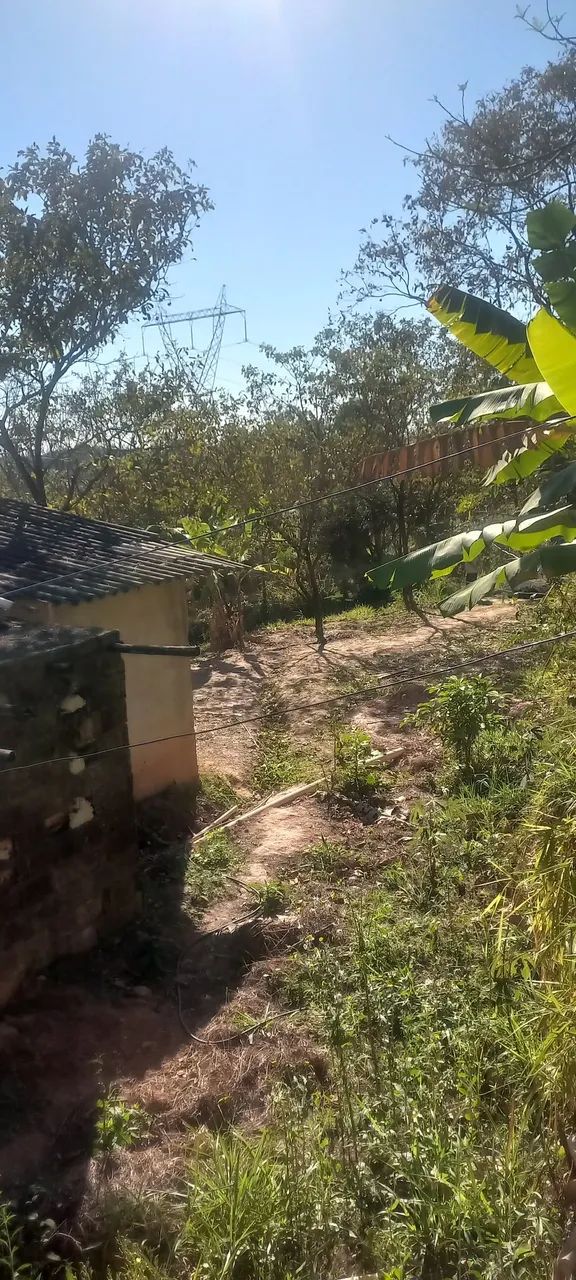 Chacara - Foto 4