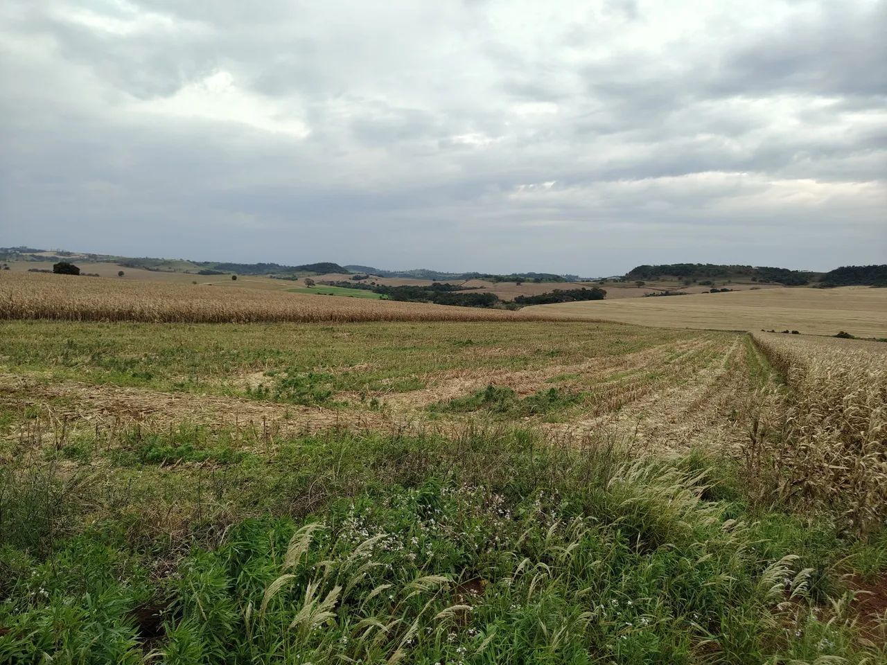 Sítio  - Foto 3
