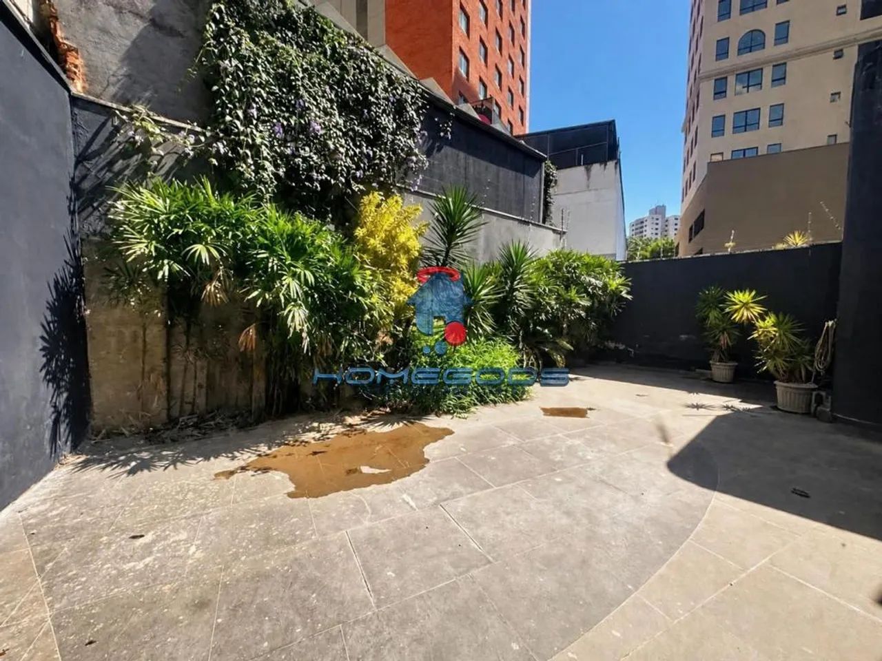 Salão para alugar em Campinas, Nova Campinas, com 290 m² - Foto 5