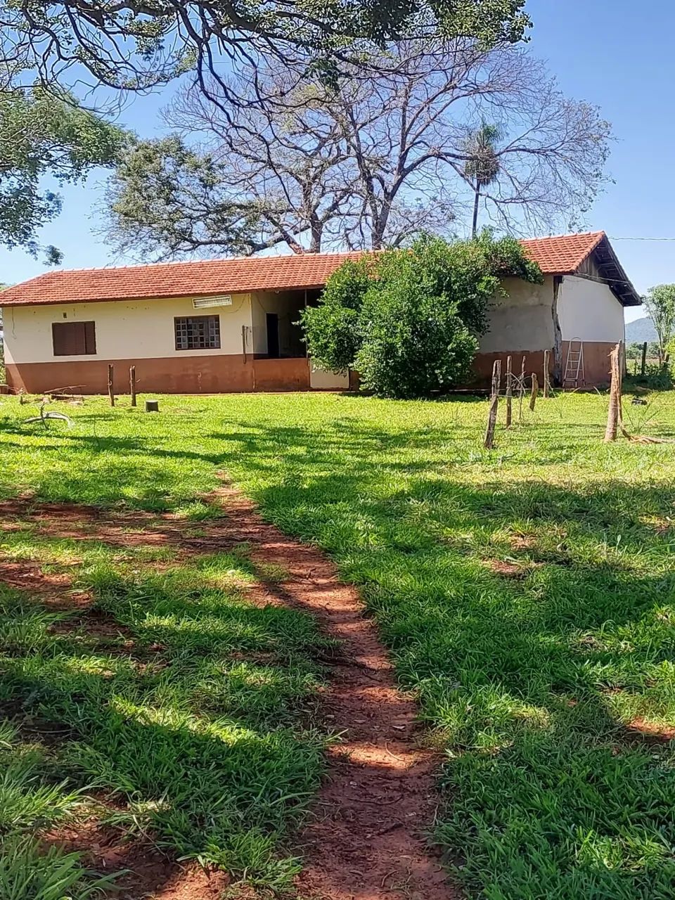 chácara 85 hectares próxima a sidrolandia  - Foto 2