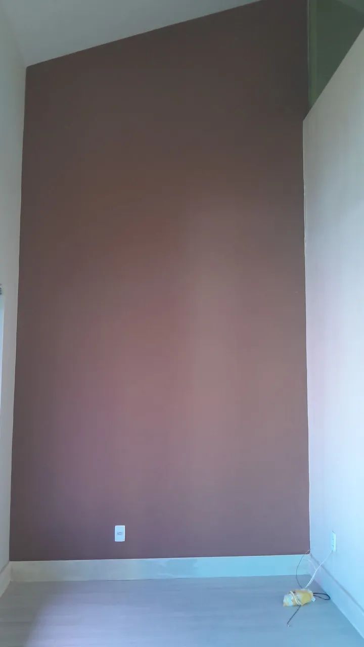 Pintor profissional 