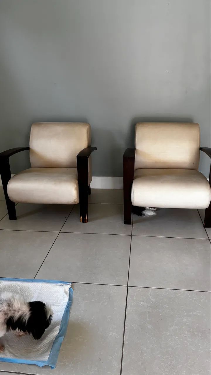 Poltronas e Mesa de Centro - Foto 2