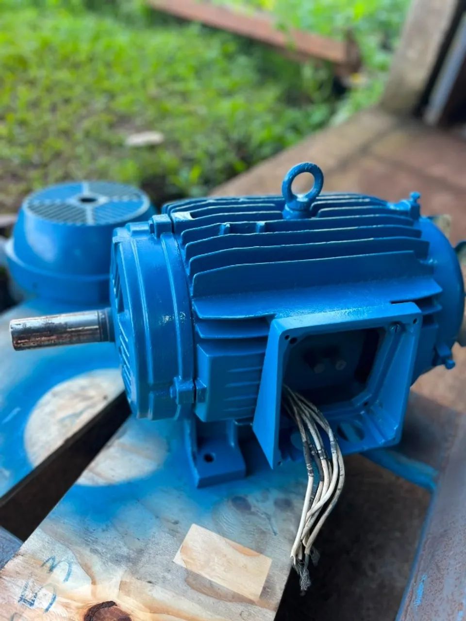 Motor WEG 