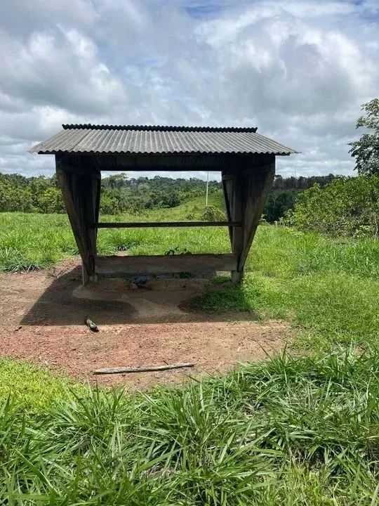 Propriedade rural de 120 hectares em Roraima/Rorainopolis  - Foto 2