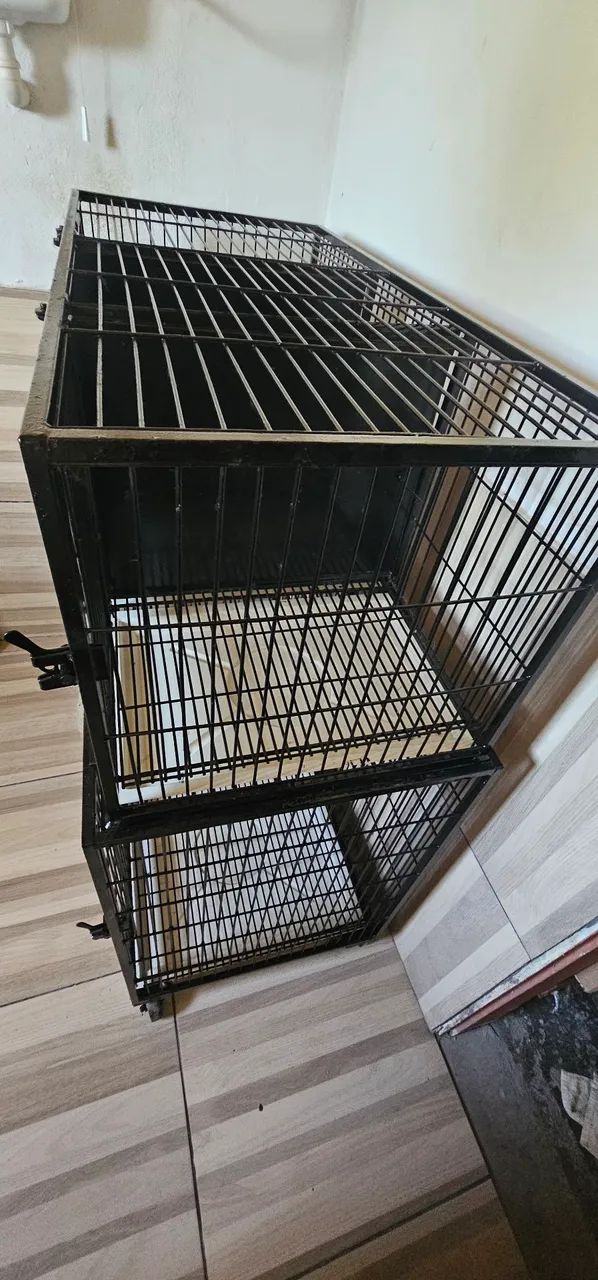 Canil para pets  - Foto 2