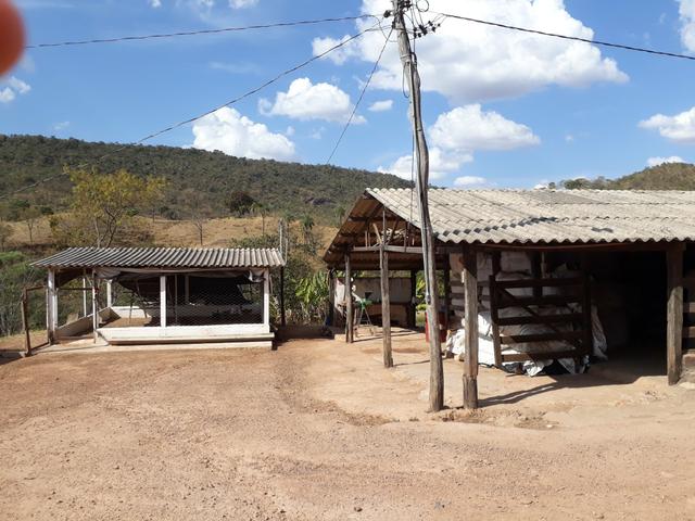 Oportunidade!! Vendo excelente fazenda em Formosa Goiás, com 168 hectares com muita água - Foto 2