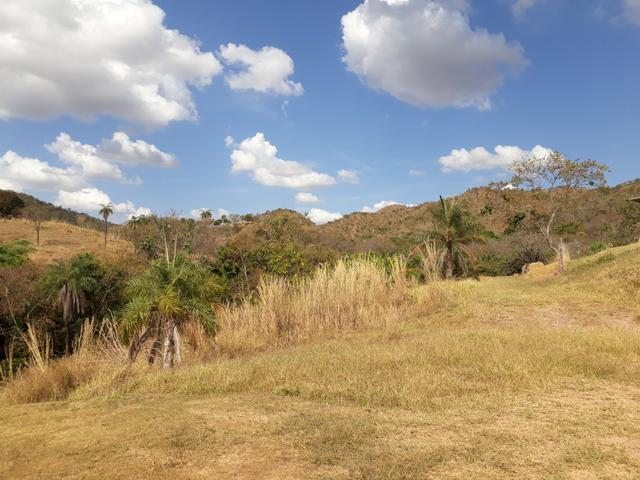 Oportunidade!! Vendo excelente fazenda em Formosa Goiás, com 168 hectares com muita água - Foto 18