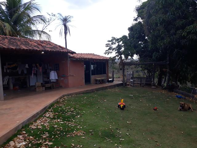 Oportunidade!! Vendo excelente fazenda em Formosa Goiás, com 168 hectares com muita água - Foto 6