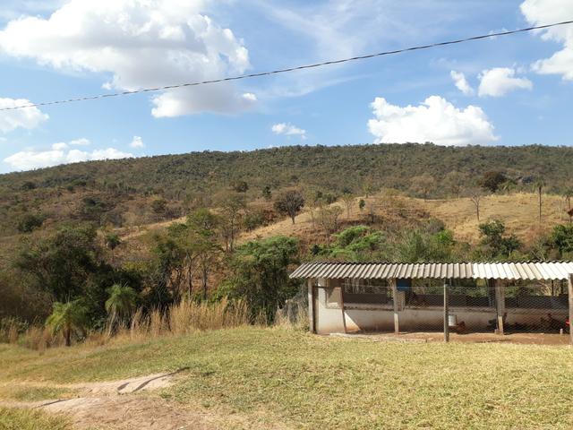 Oportunidade!! Vendo excelente fazenda em Formosa Goiás, com 168 hectares com muita água - Foto 13