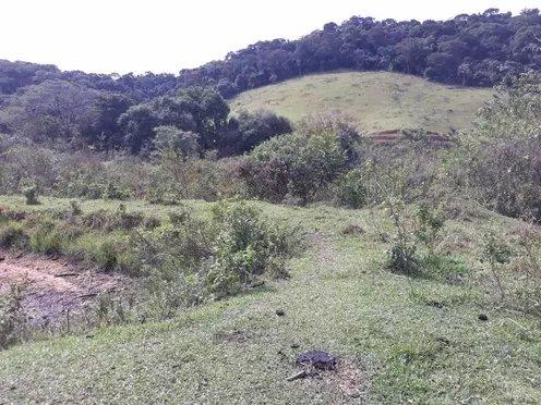 Excelente fazenda em Guapimirim oportunidade!!! - Foto 13