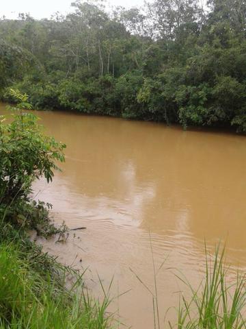 50 Alq. Beira Rio | 120 km Goiânia. (leia o anuncio) - Foto 14
