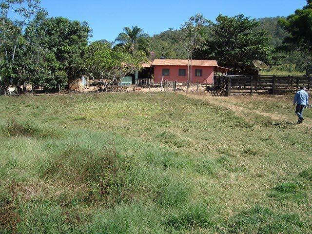50 Alq. Beira Rio | 120 km Goiânia. (leia o anuncio) - Foto 7