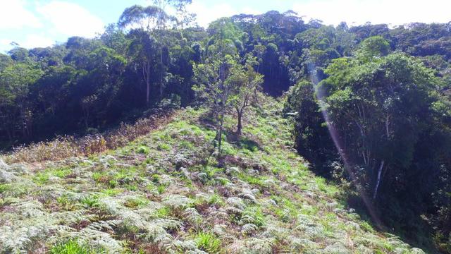 Chácara em Marechal Floriano - Foto 8
