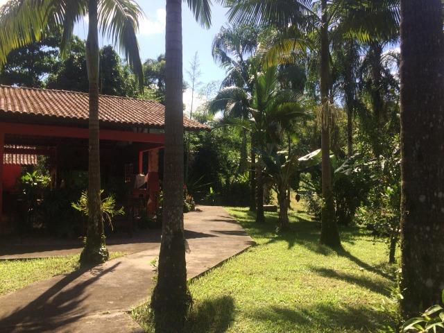 Chácara com 84.500m² - Porto de Cima - Morretes - Foto 5