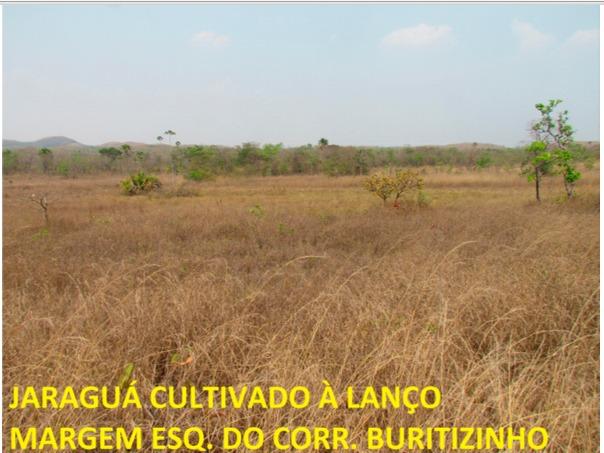 Fazenda 236 Alqueires ( 1.144 hectares) Barra do Garça-MT \ Nova xavantina - Foto 3