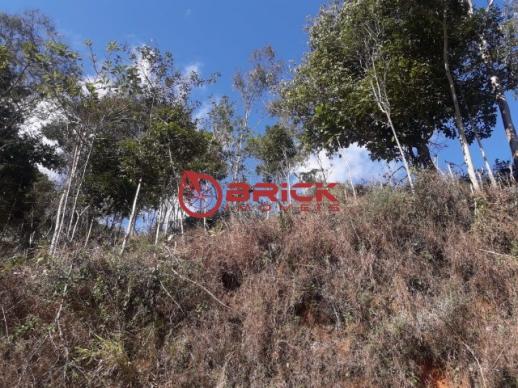 Terreno em condomínio em vargem grande com 425 m² - Foto 2