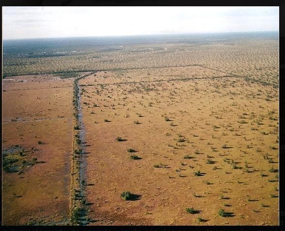 Fazenda em Mato Grosso divisa com Goias sendo 10.257hectares