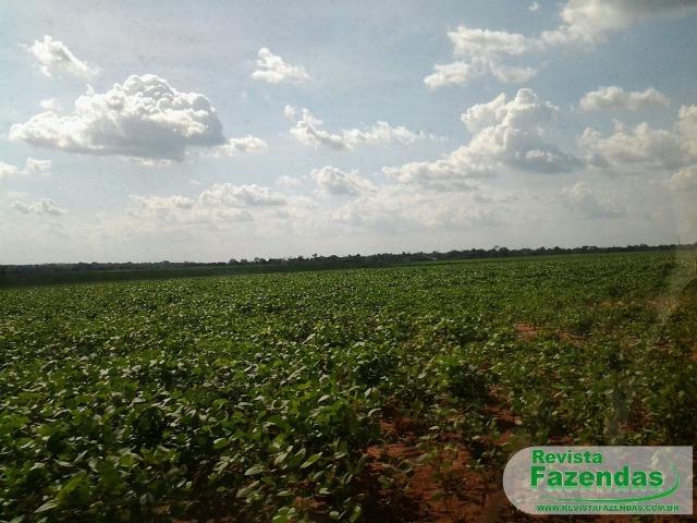 Fazenda 730 Há 480 Há Plantando Soja/Milho Entrada + 09 Pagamentos Norte MT - Foto 7