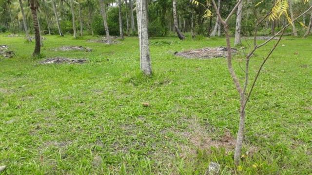 Terreno à venda em Centro, Cairu cod:55951 - Foto 11
