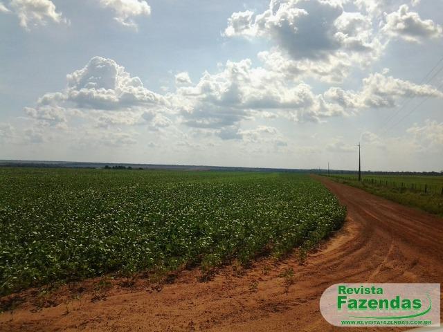 Fazenda 730 Há 480 Há Plantando Soja/Milho Entrada + 09 Pagamentos Norte MT - Foto 2