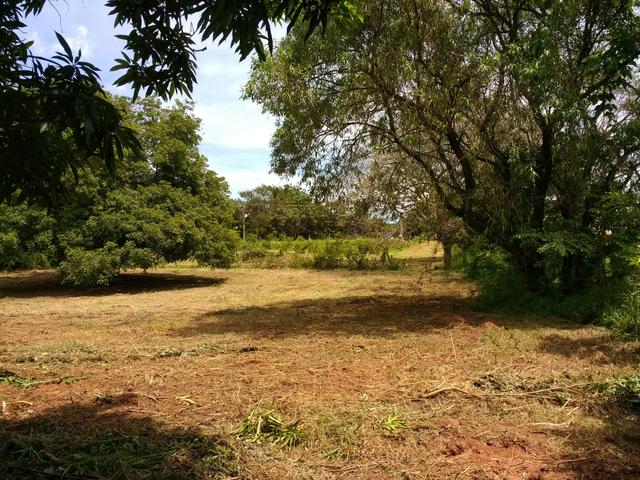 Chácara - Parque das Flores - Foto 11