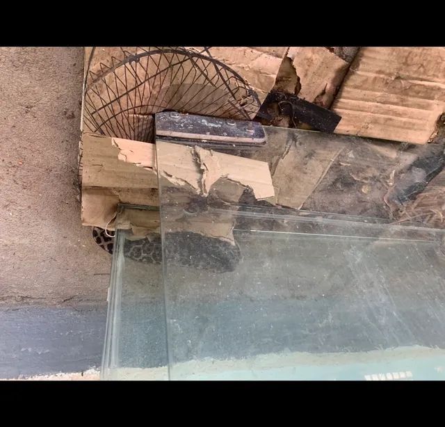 PORTA DE VIDRO  - Foto 4