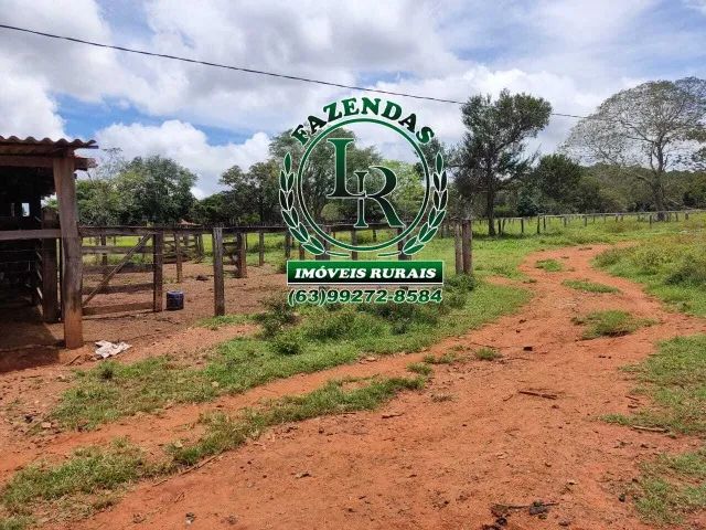 Fazenda 56 Alqueires Paraiso Tocantins - Foto 3