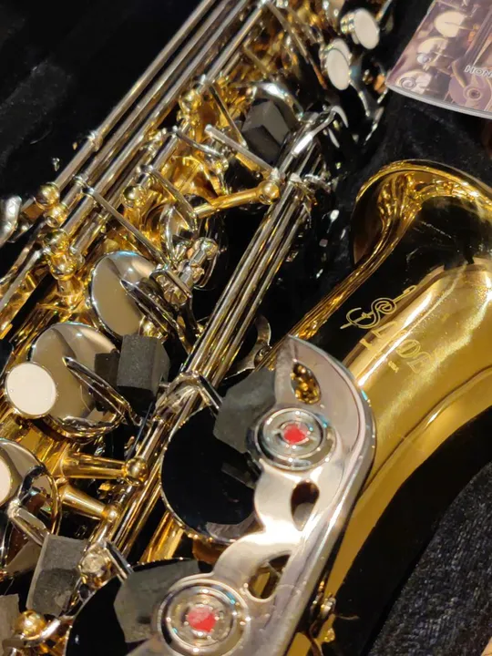 Sax Saxofone Alto Conservatório Escola de Música Universidade