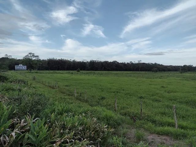 foto - São José dos Pinhais - Parque da Fonte