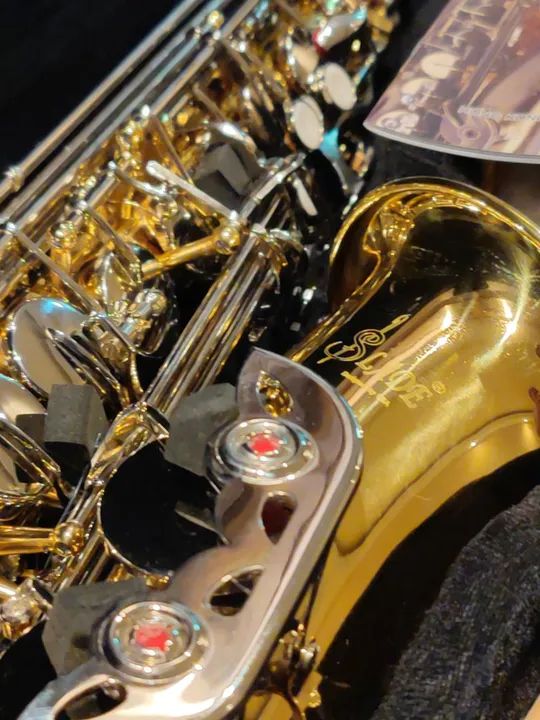 Sax Saxofone Alto Conservatório Escola de Música Universidade - Foto 5