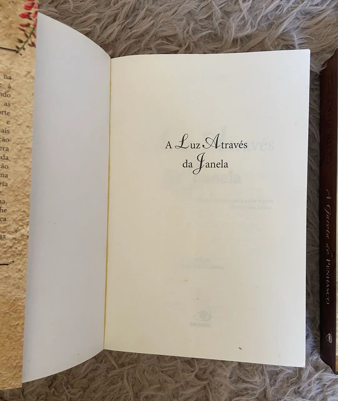 Livro  - Foto 3