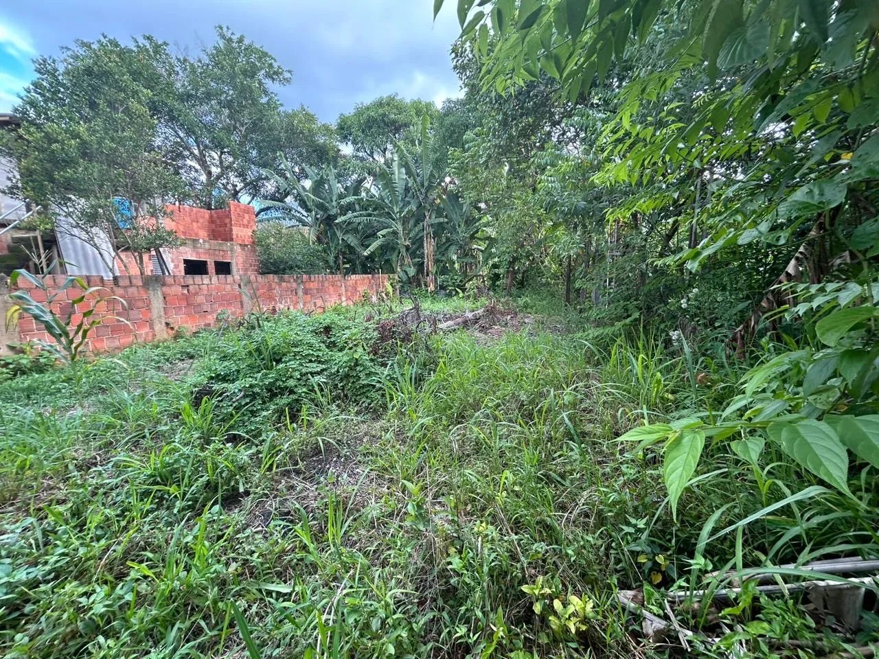 Vendo terreno no bairro cantão  - Foto 4