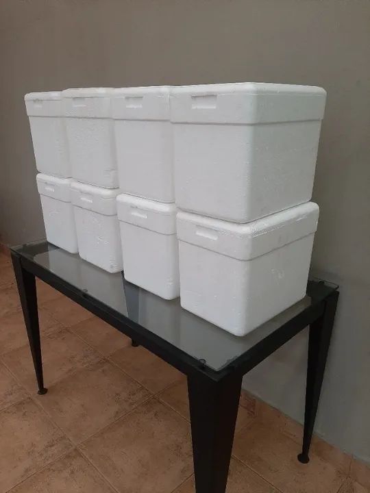 10 Caixas de ISOPOR de 13 litros - TUDO por R$ 30,00 - Foto 3